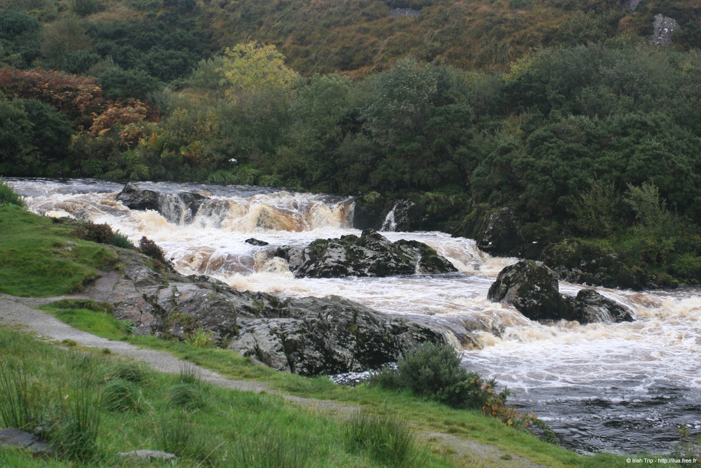 20081009_owenweeriver