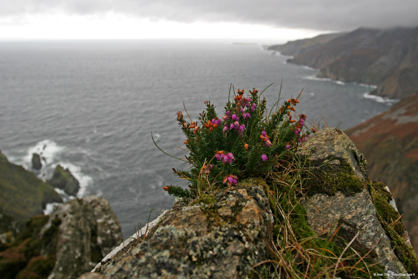 20081009_slieveleaguebunglass01
