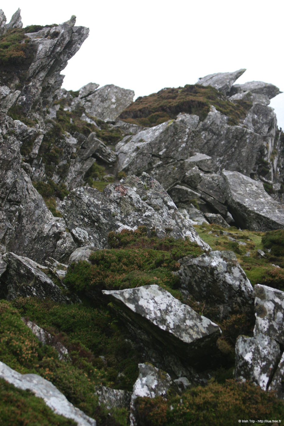 20081009_slieveleaguescregeighter01