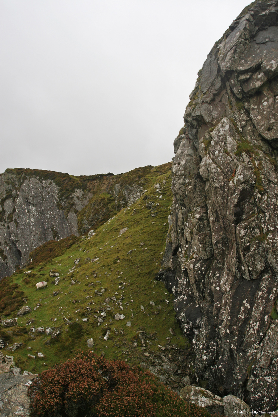20081009_slieveleaguescregeighter02