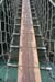 20081007_carrickarede12