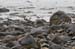 20081007_drainssbay03