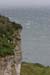 20081007_larrybanebay14