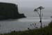 20081007_sheepisland05