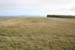 20081008_benbanecliffpath26