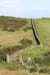 20081008_benbanecliffpath62