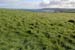20081008_benbanecliffpath64