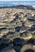 20081008_giantcauseway18