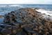 20081008_giantcauseway19