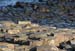 20081008_giantcauseway20
