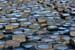 20081008_giantcauseway23