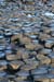 20081008_giantcauseway24