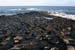 20081008_giantcauseway31