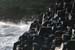 20081008_giantcauseway32