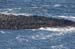 20081008_giantcauseway47