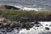 20081008_giantcauseway48