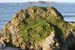 20081008_lackgolanarocks