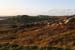 20081008_malinhead01
