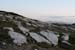 20081008_malinhead03