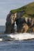20081008_thewhiterocks24