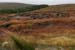 20081009_crocknamurrinlands01