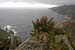 20081009_slieveleaguebunglass01