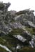 20081009_slieveleaguescregeighter01