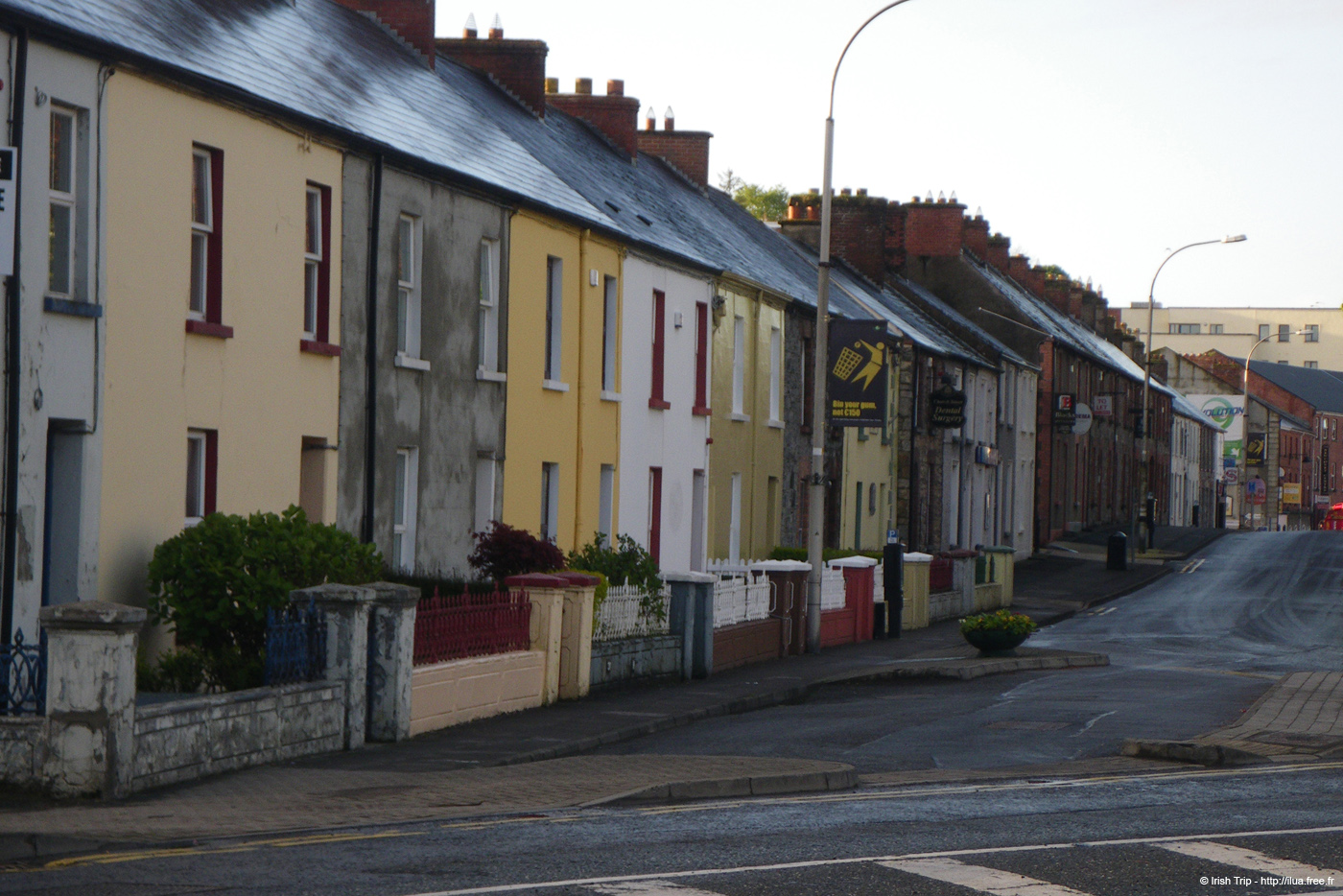 20090427_cavan03