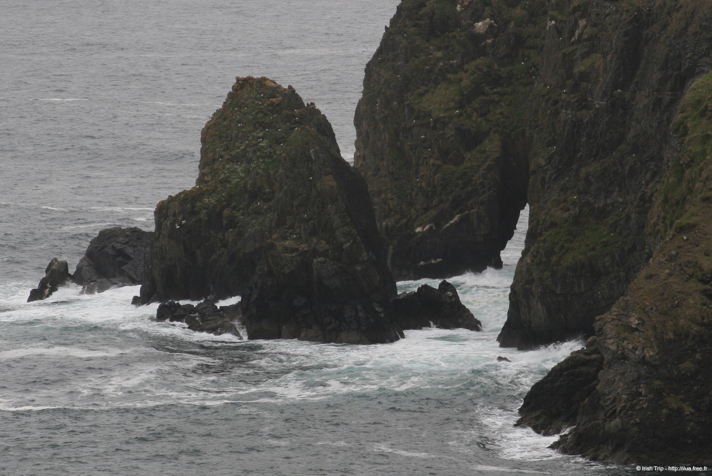 20090427_doonpoint05