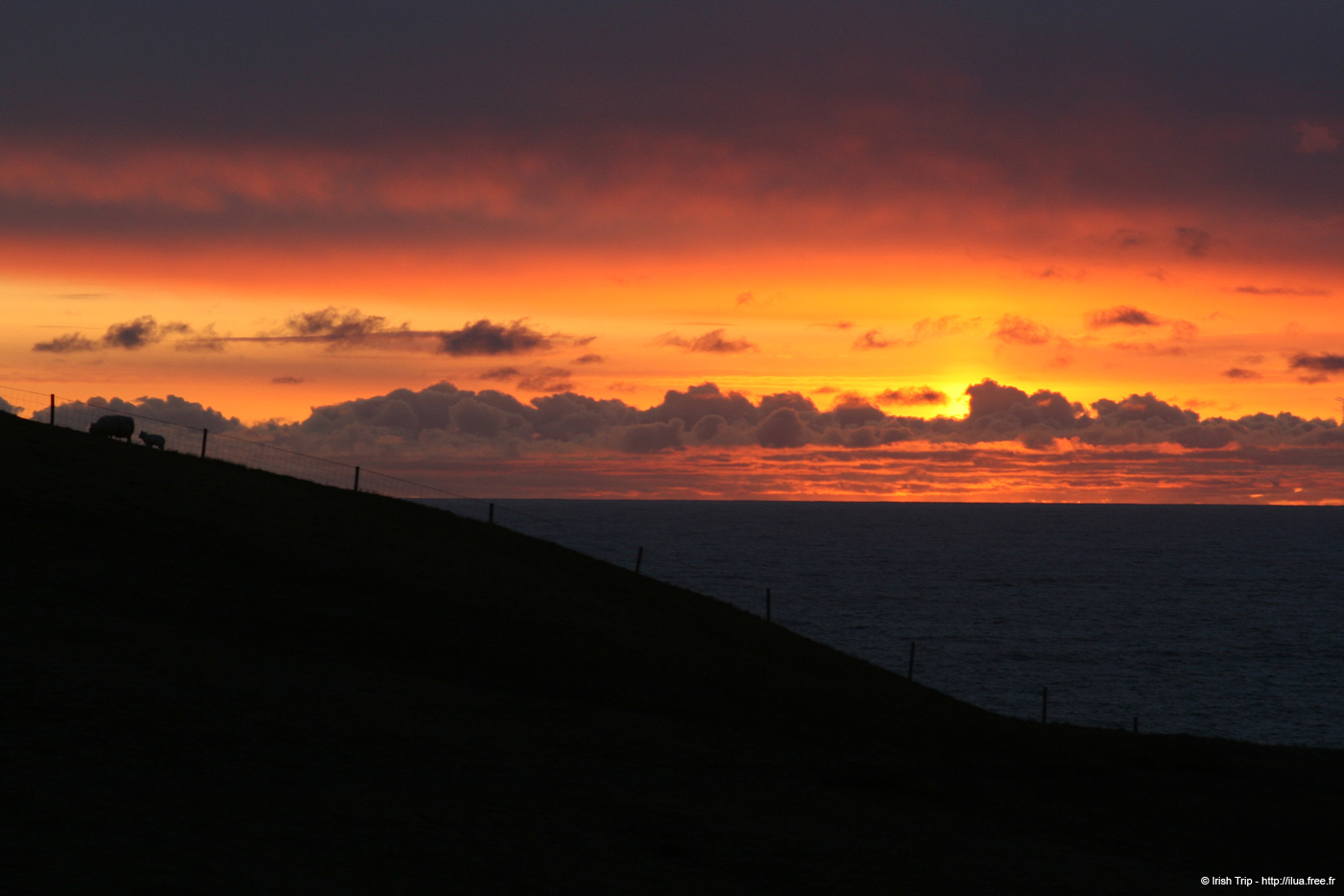 20090427_malinbegsunset3