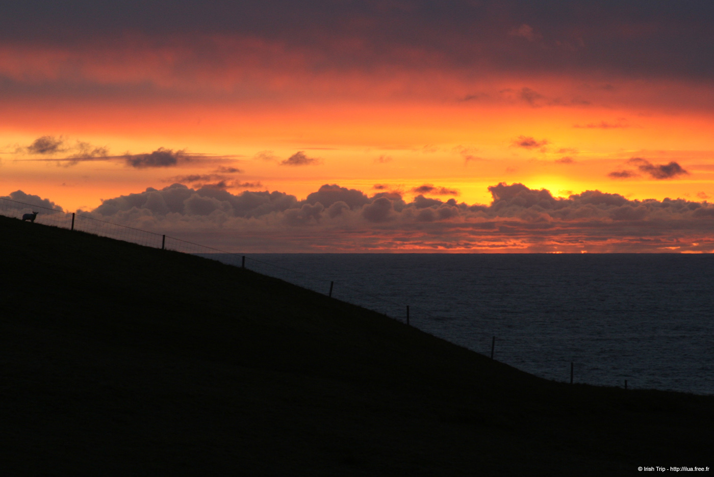 20090427_malinbegsunset5