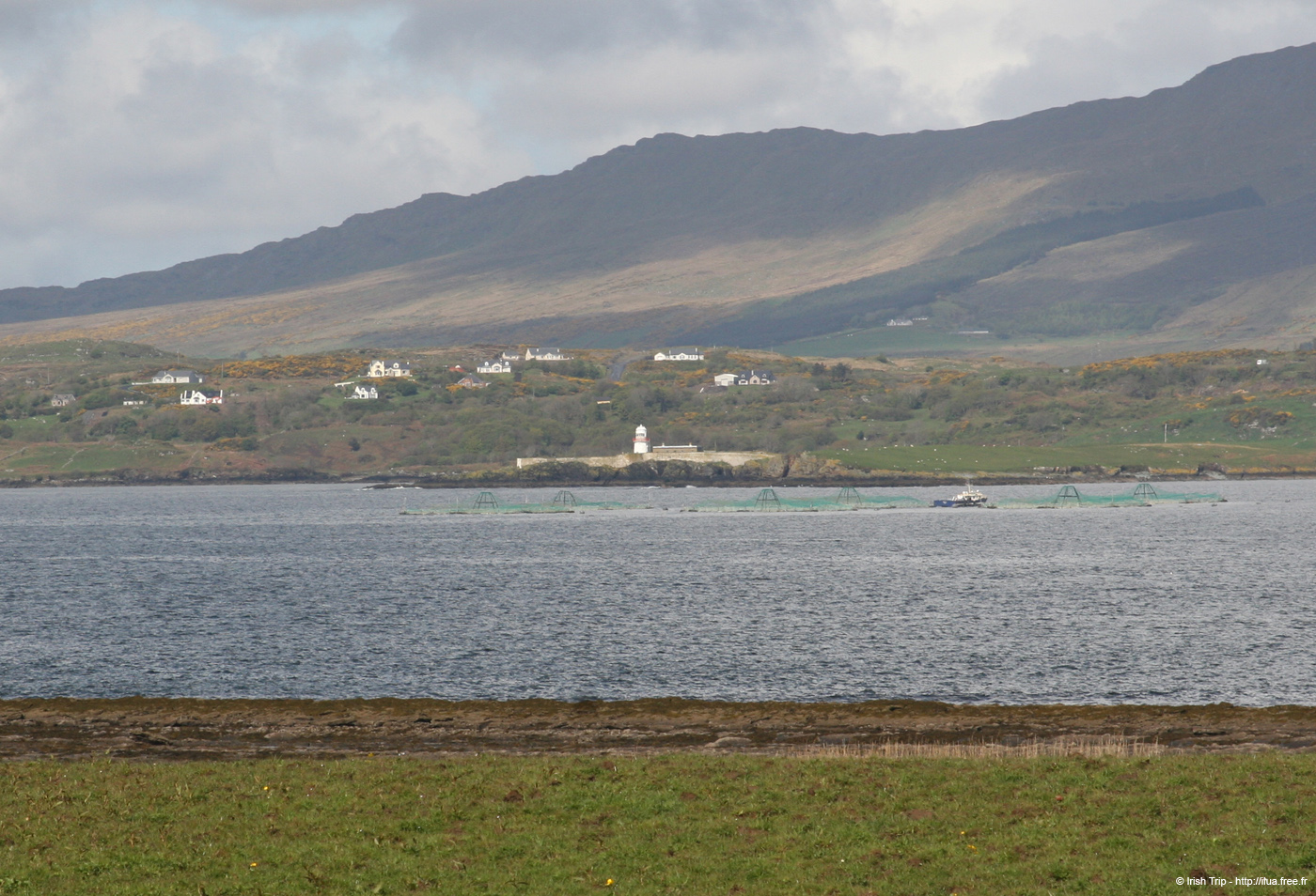 20090427_mcswynesbay1