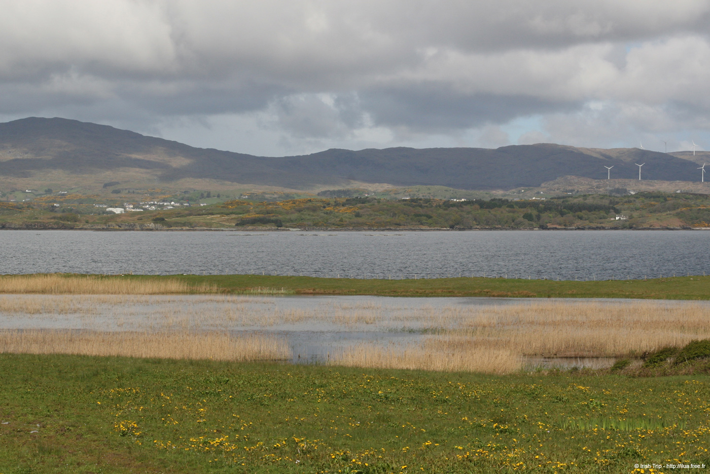 20090427_mcswynesbay3
