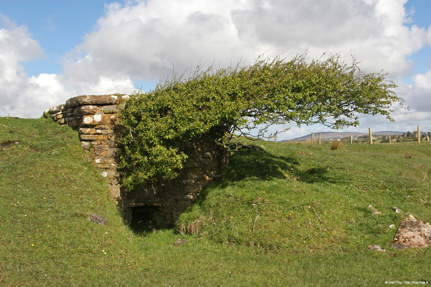 20090427_rahanruin2