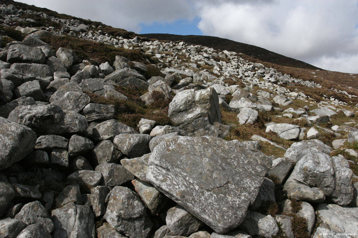20090427_sliabhliag018