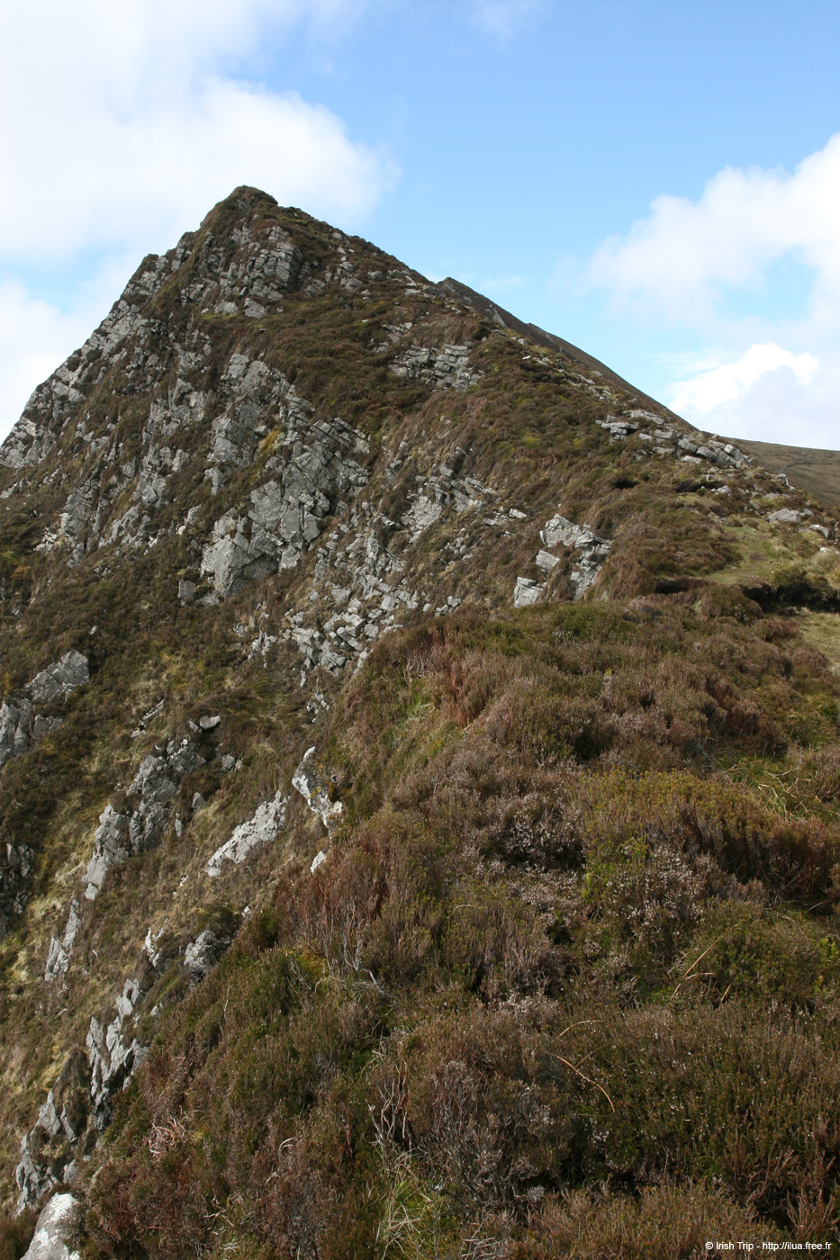 20090427_sliabhliag033