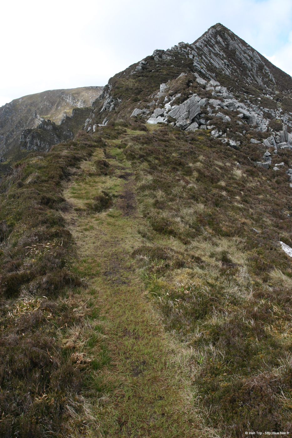 20090427_sliabhliag042