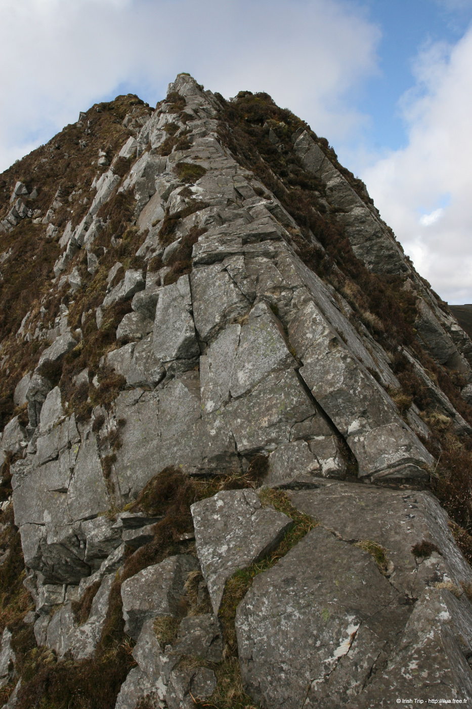 20090427_sliabhliag050