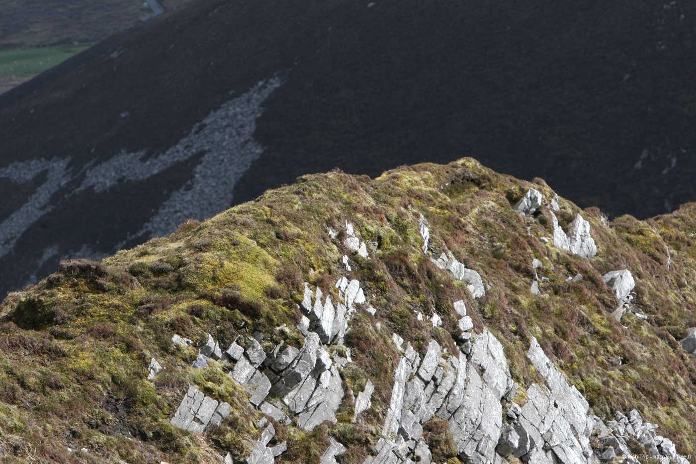 20090427_sliabhliag079