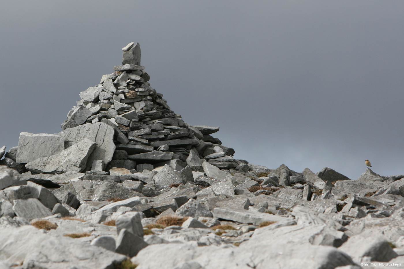 20090427_sliabhliag087