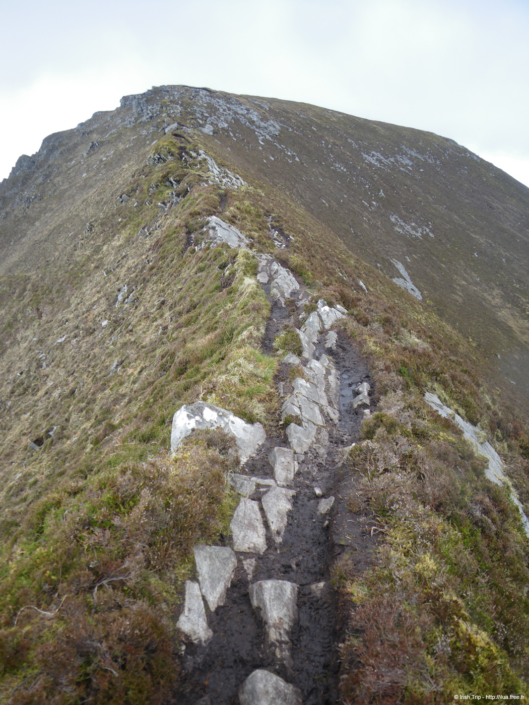 20090427_sliabhliag106