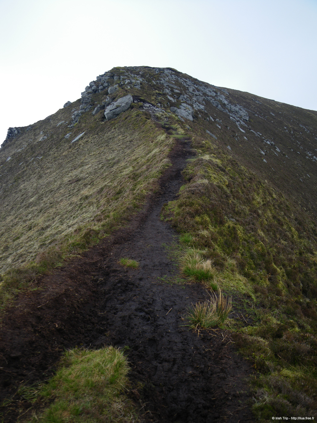 20090427_sliabhliag108