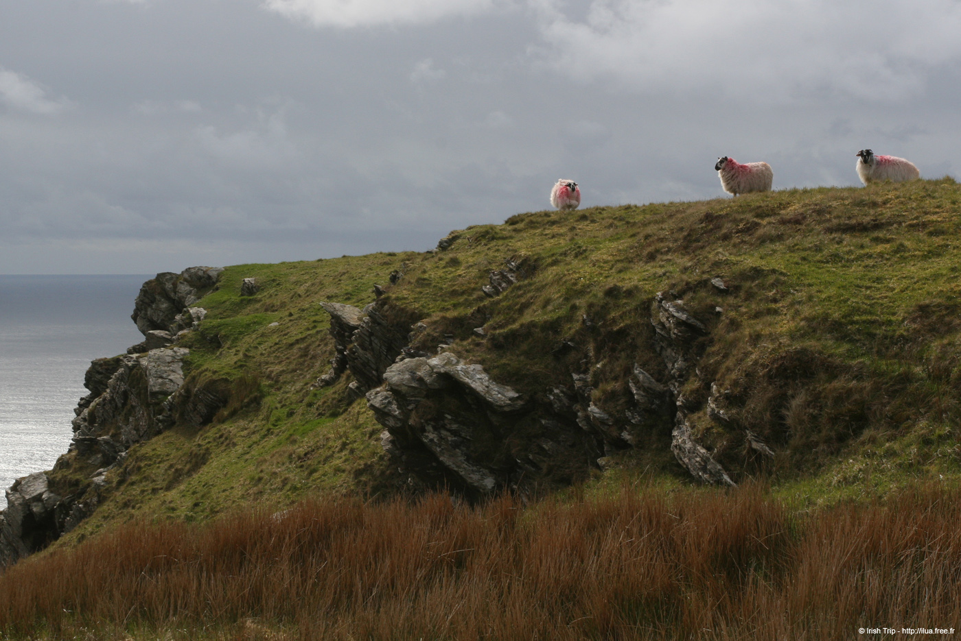 20090427_sliabhliag136