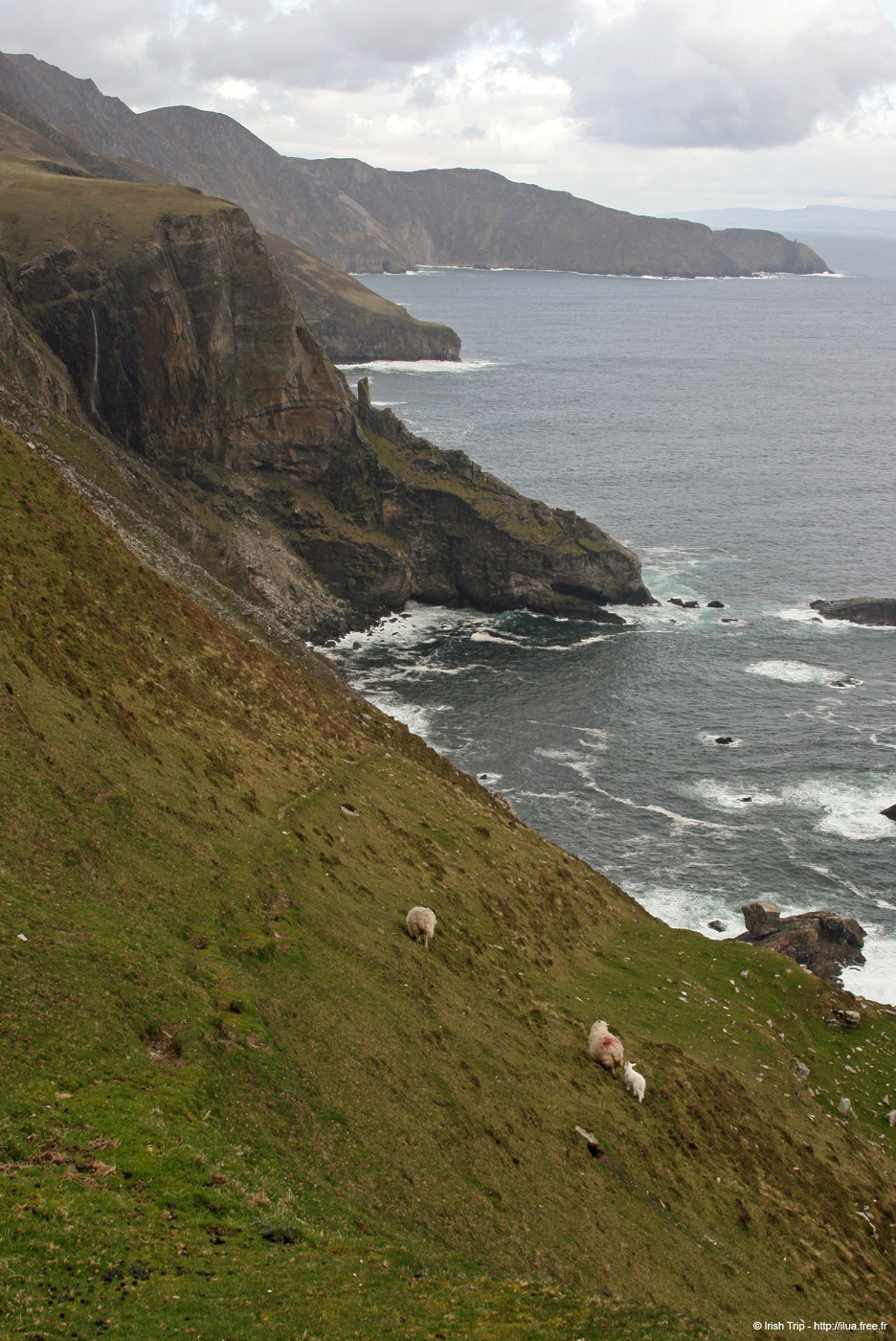20090427_sliabhliag152