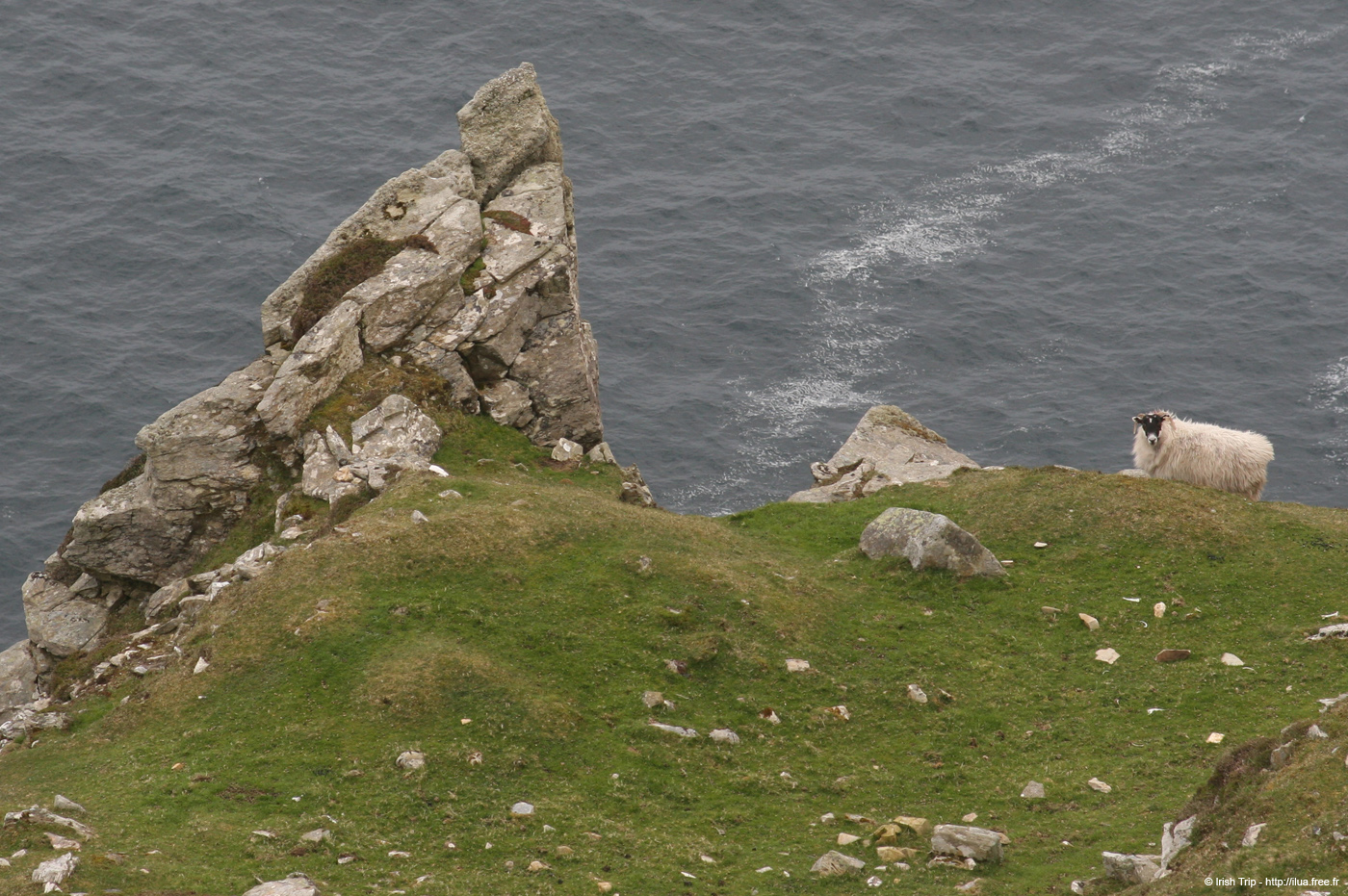 20090427_sliabhliag153