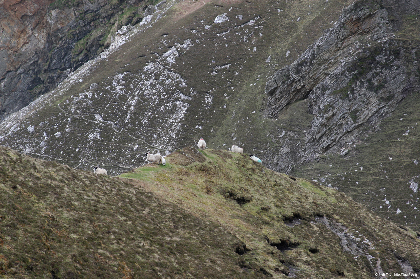20090427_sliabhliag158