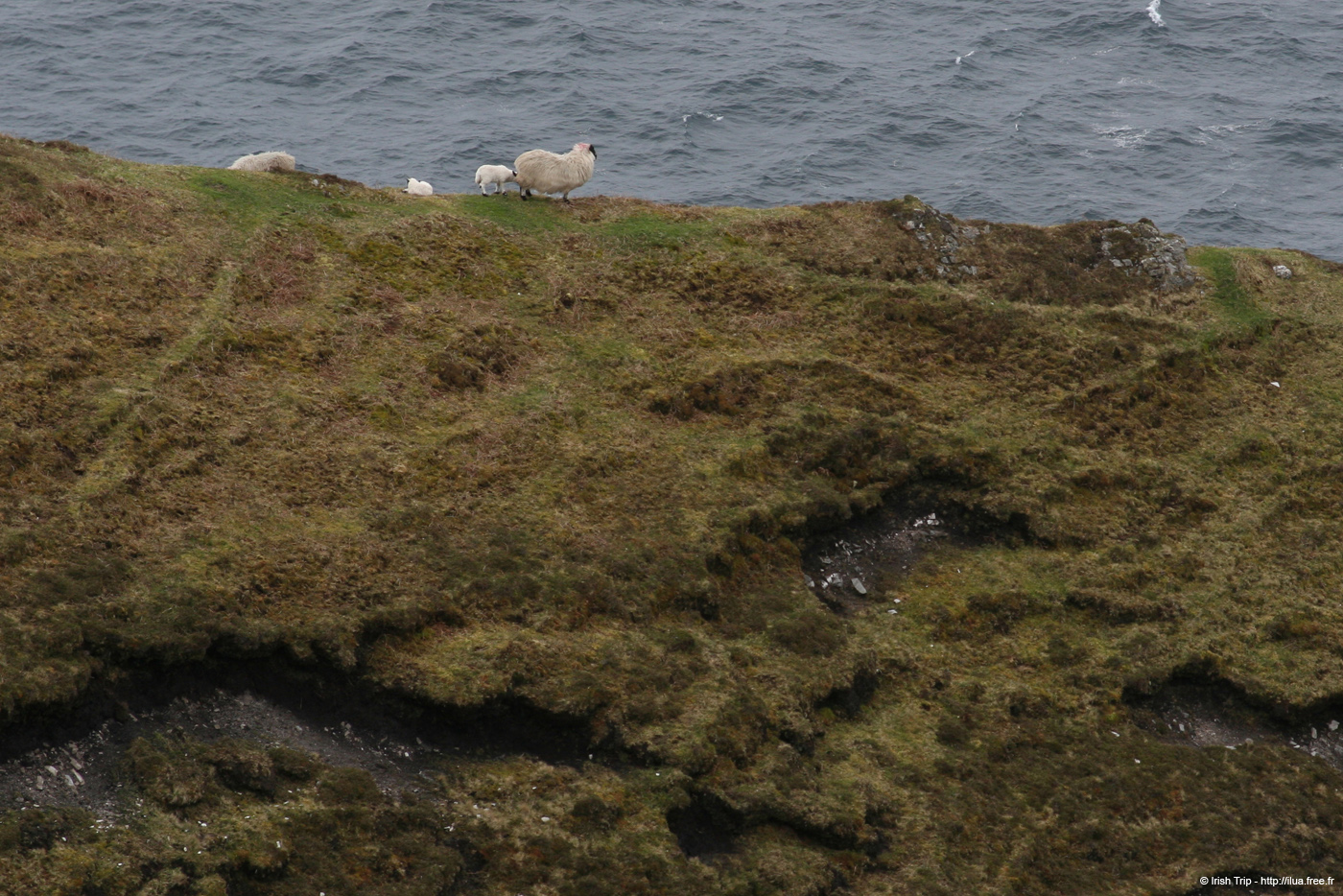 20090427_sliabhliag159