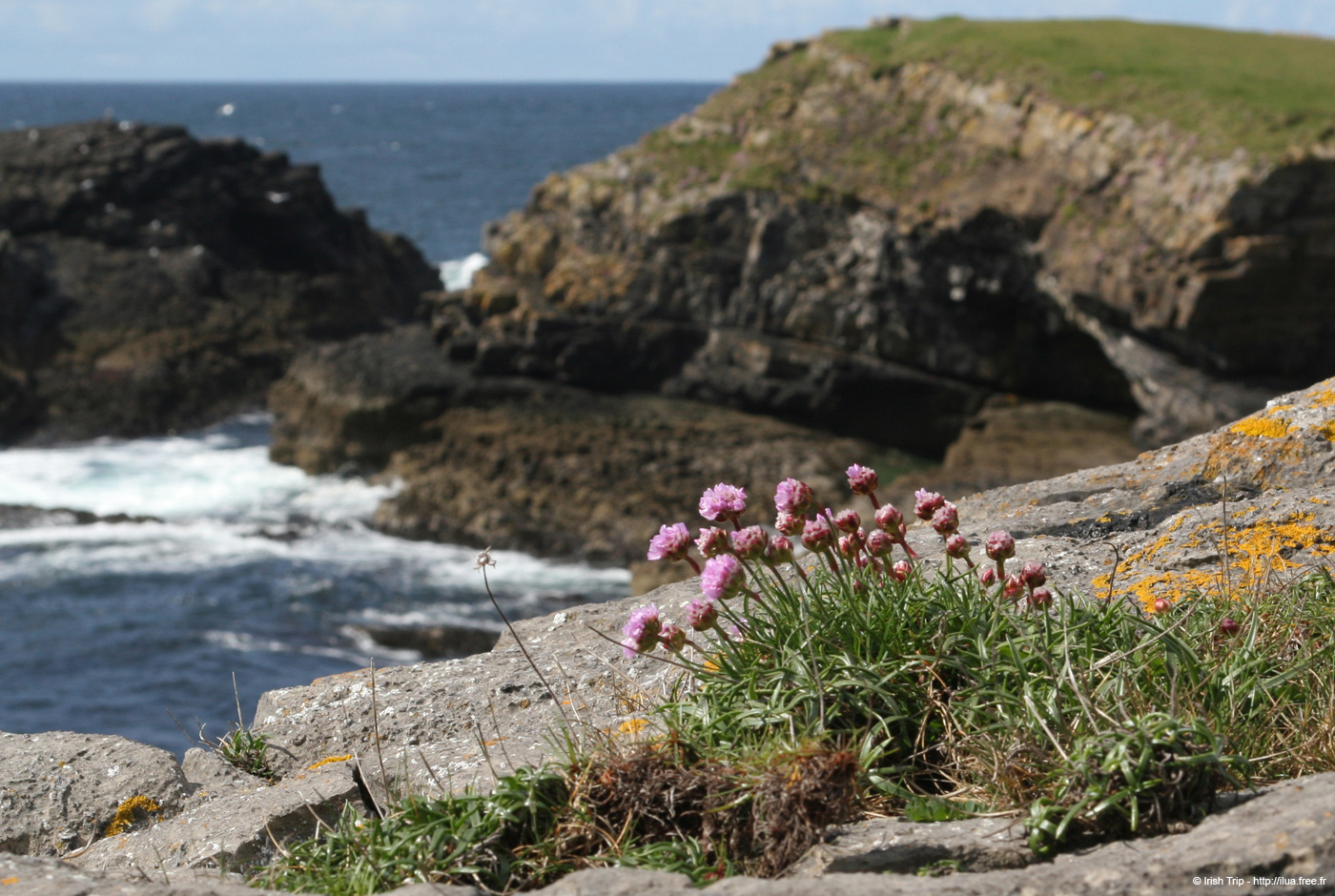 20090427_stjohnpoint05