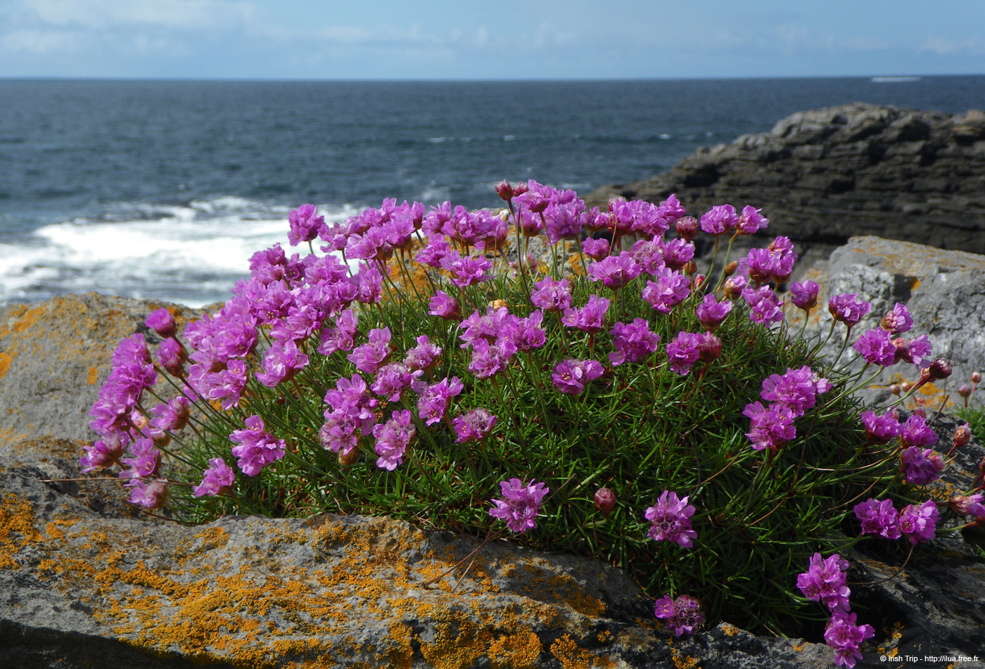 20090427_stjohnpoint06