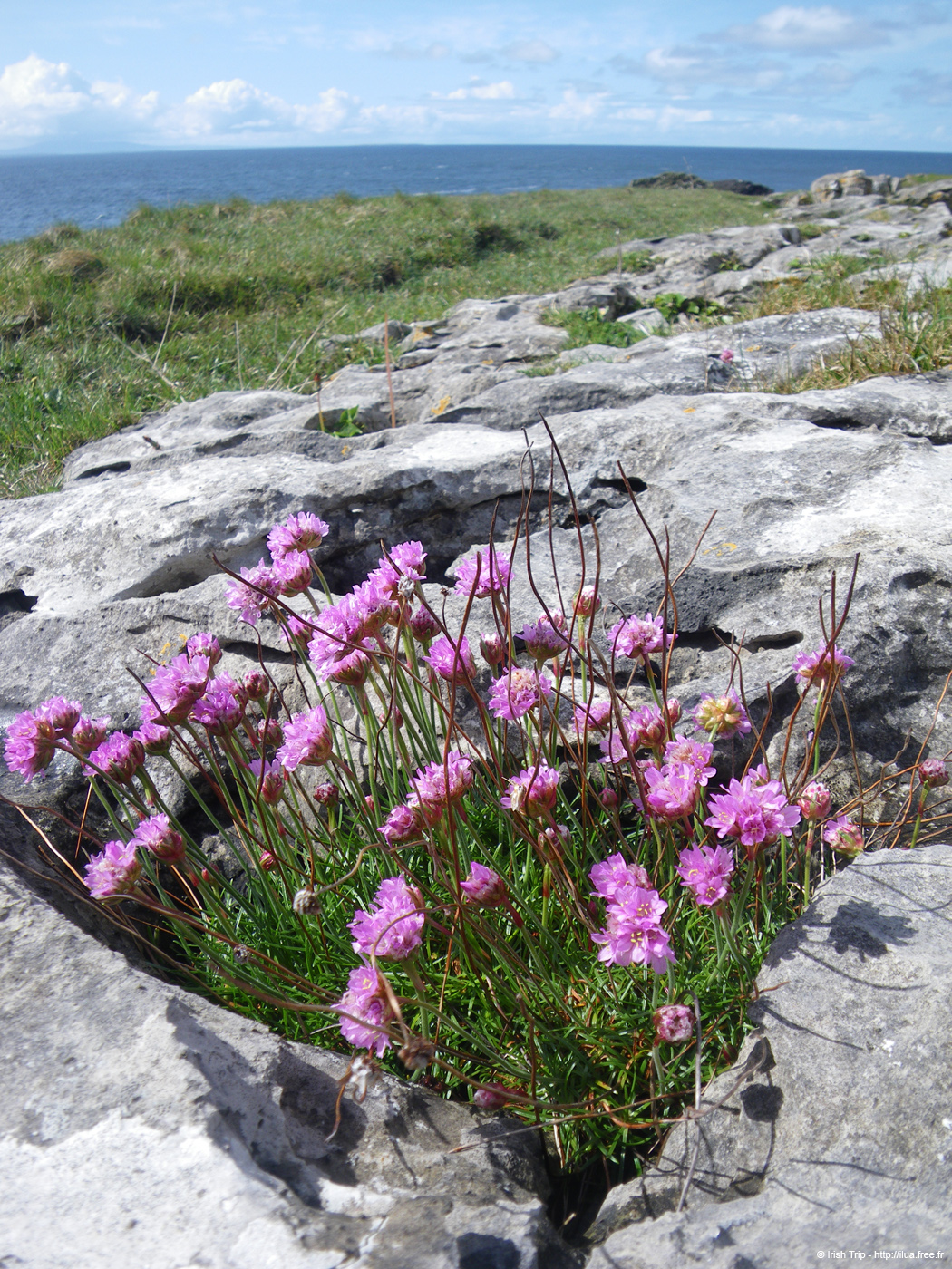 20090427_stjohnpoint07